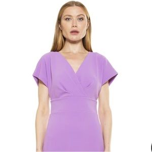 NWT Alexia Admor V Neck Dress szXS